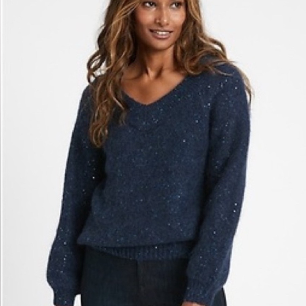 Banana Republic Deep Blue V-Neck Sweater